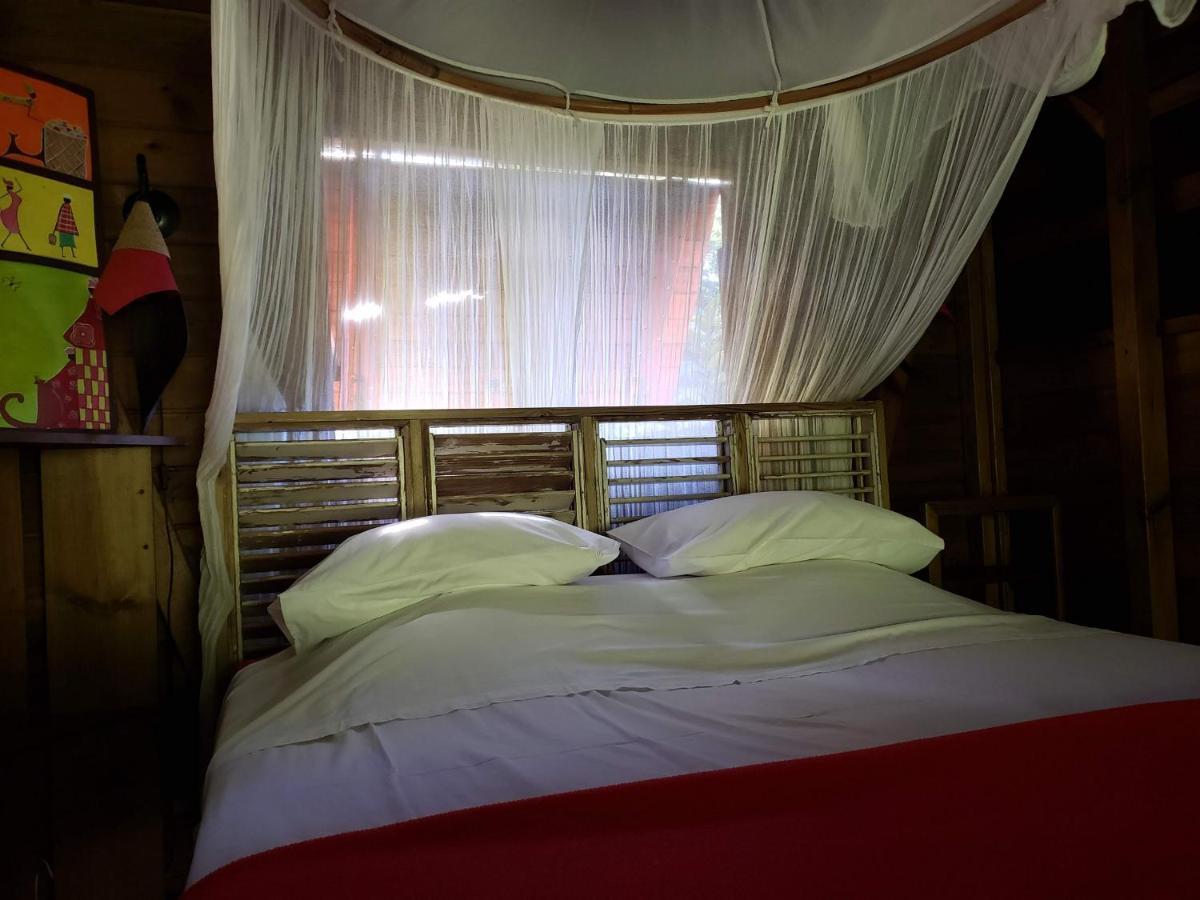 Les Bananes Vertes Ecolodges Saint-Claude Eksteriør bilde