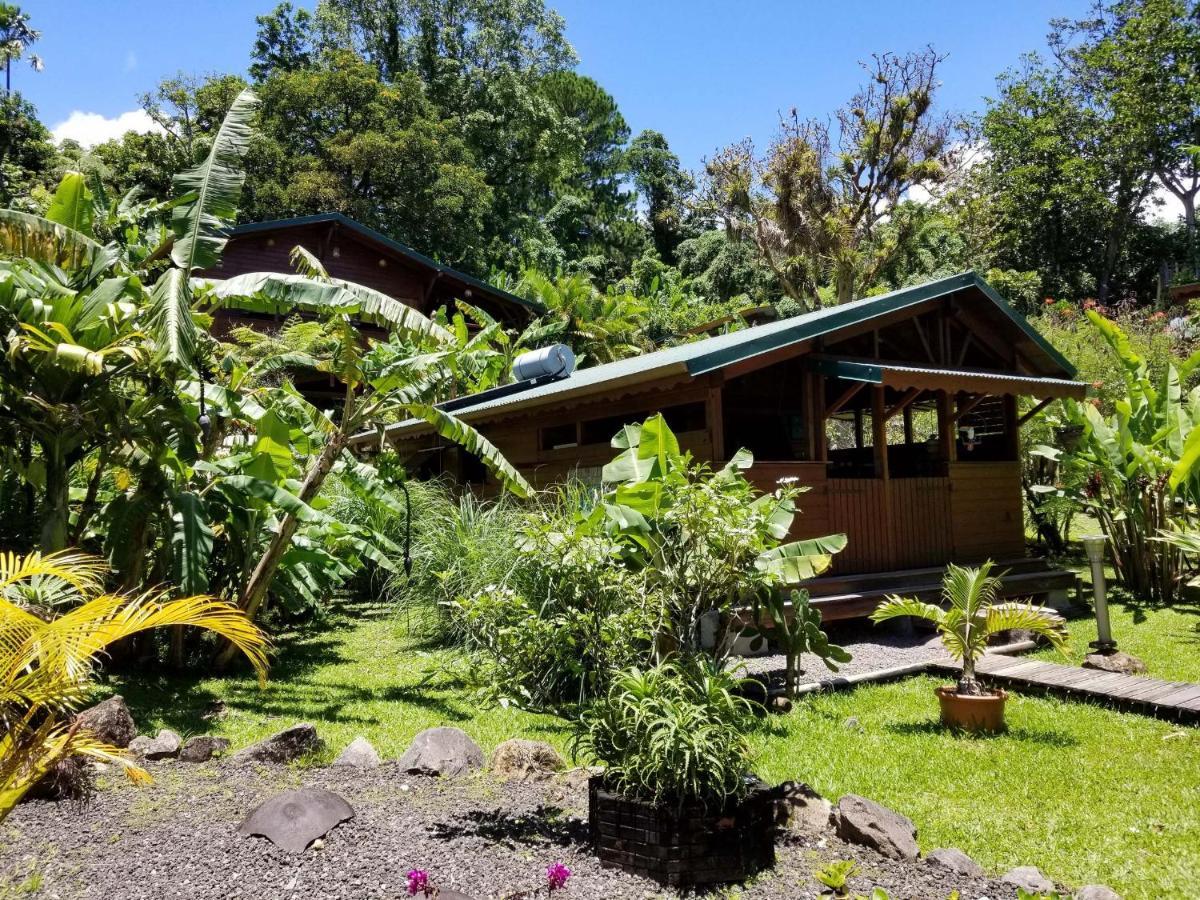 Les Bananes Vertes Ecolodges Saint-Claude Eksteriør bilde