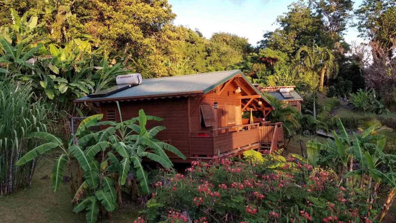 Les Bananes Vertes Ecolodges Saint-Claude Eksteriør bilde
