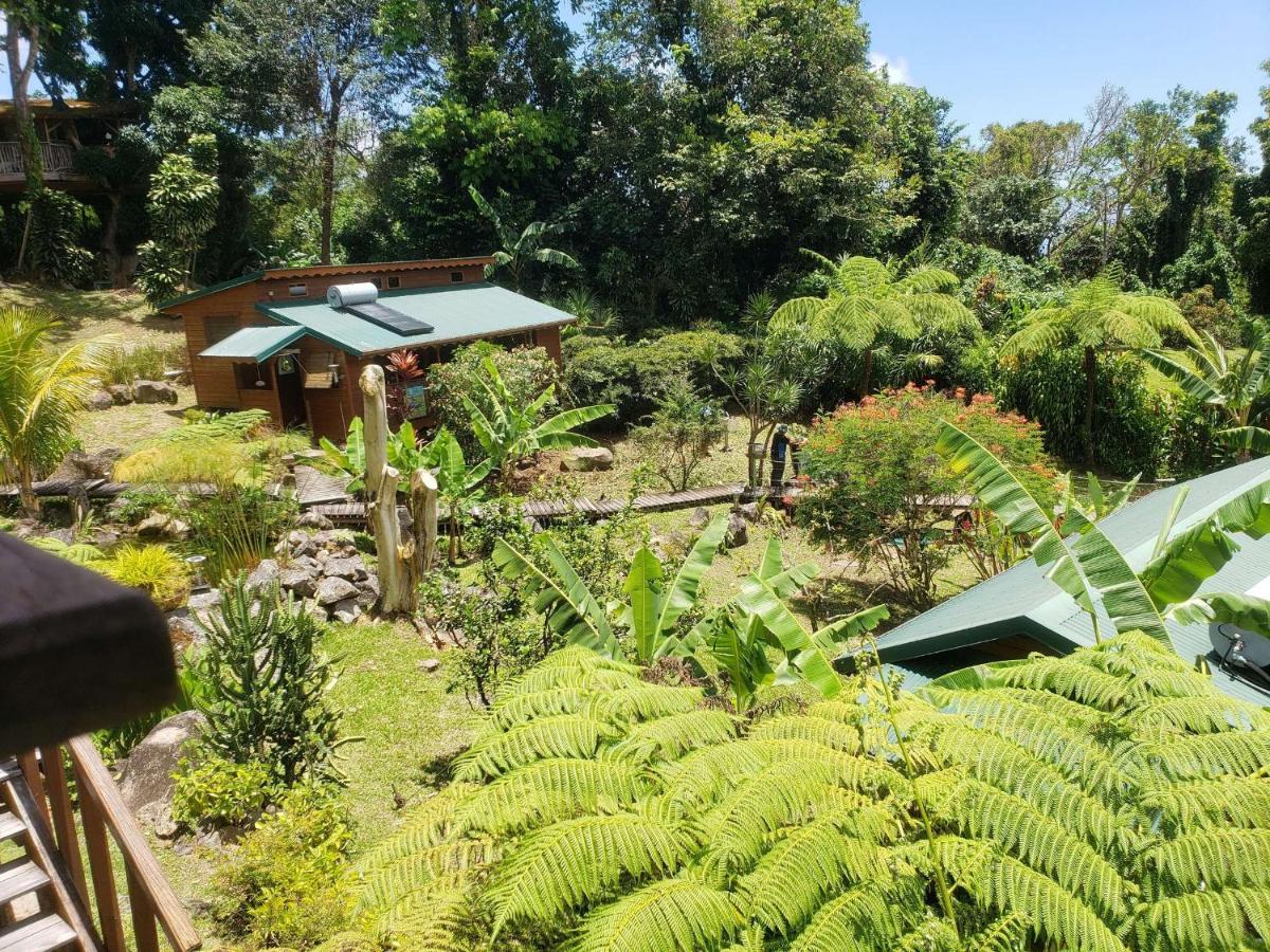 Les Bananes Vertes Ecolodges Saint-Claude Eksteriør bilde