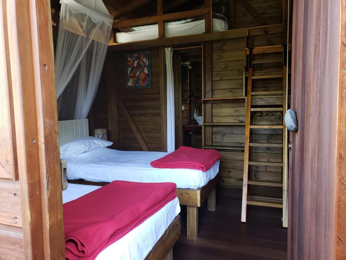 Les Bananes Vertes Ecolodges Saint-Claude Eksteriør bilde