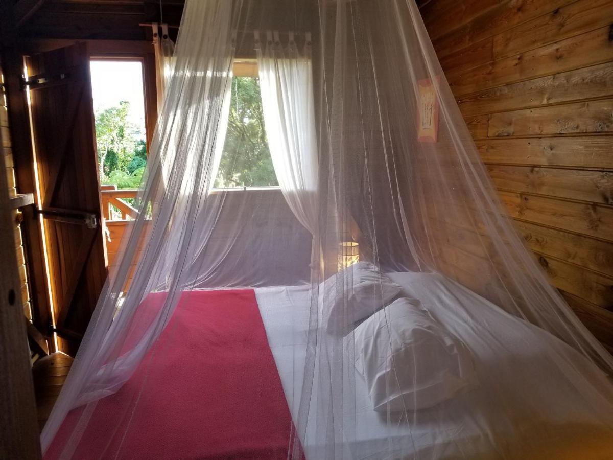 Les Bananes Vertes Ecolodges Saint-Claude Eksteriør bilde