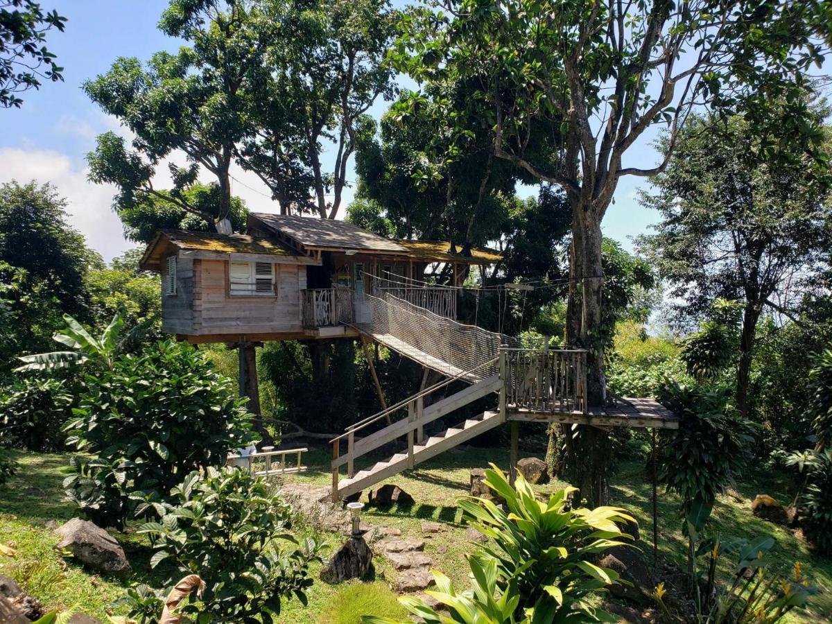 Les Bananes Vertes Ecolodges Saint-Claude Eksteriør bilde
