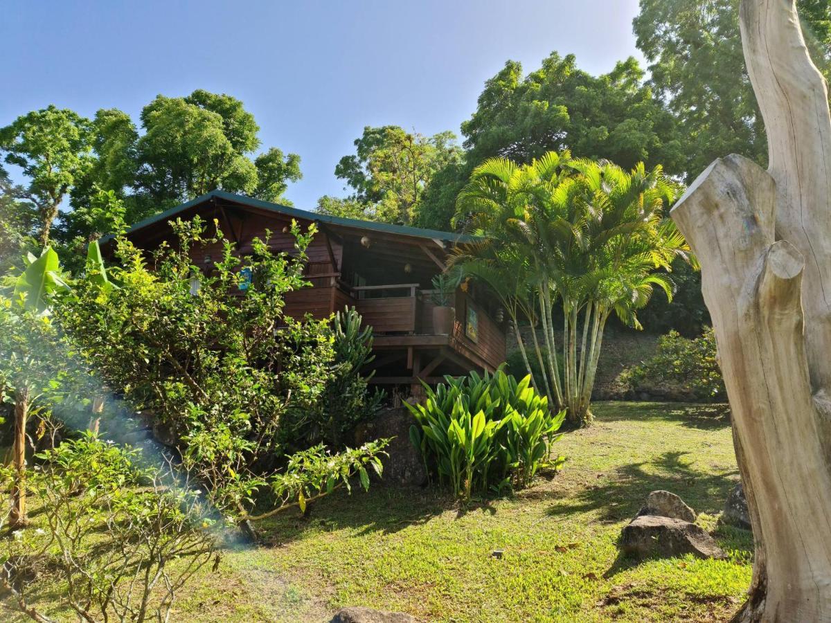 Les Bananes Vertes Ecolodges Saint-Claude Eksteriør bilde