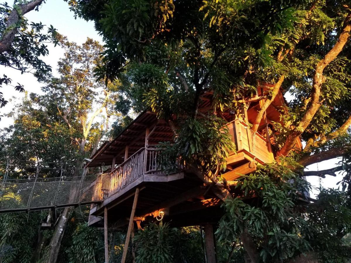 Les Bananes Vertes Ecolodges Saint-Claude Eksteriør bilde