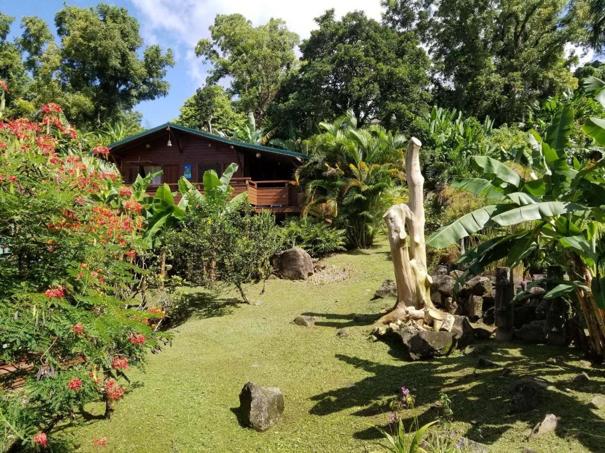 Les Bananes Vertes Ecolodges Saint-Claude Eksteriør bilde