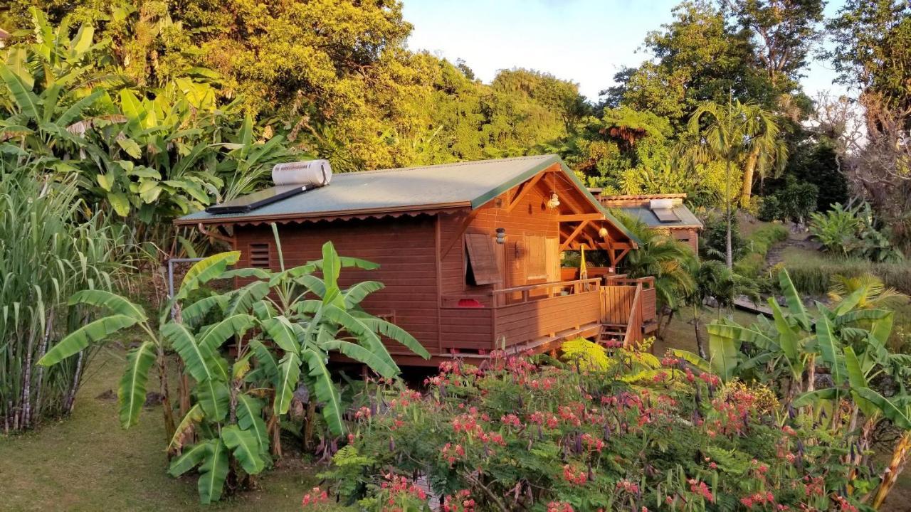 Les Bananes Vertes Ecolodges Saint-Claude Eksteriør bilde