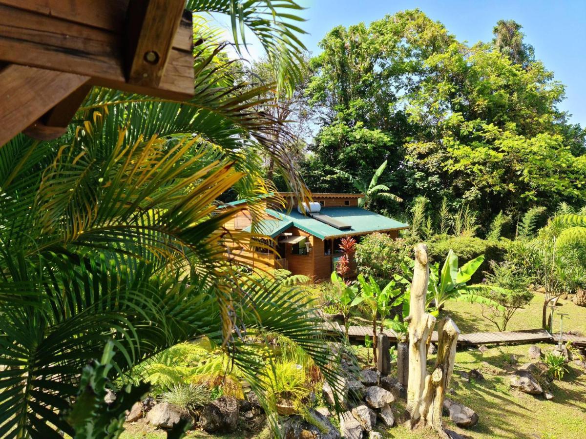 Les Bananes Vertes Ecolodges Saint-Claude Eksteriør bilde