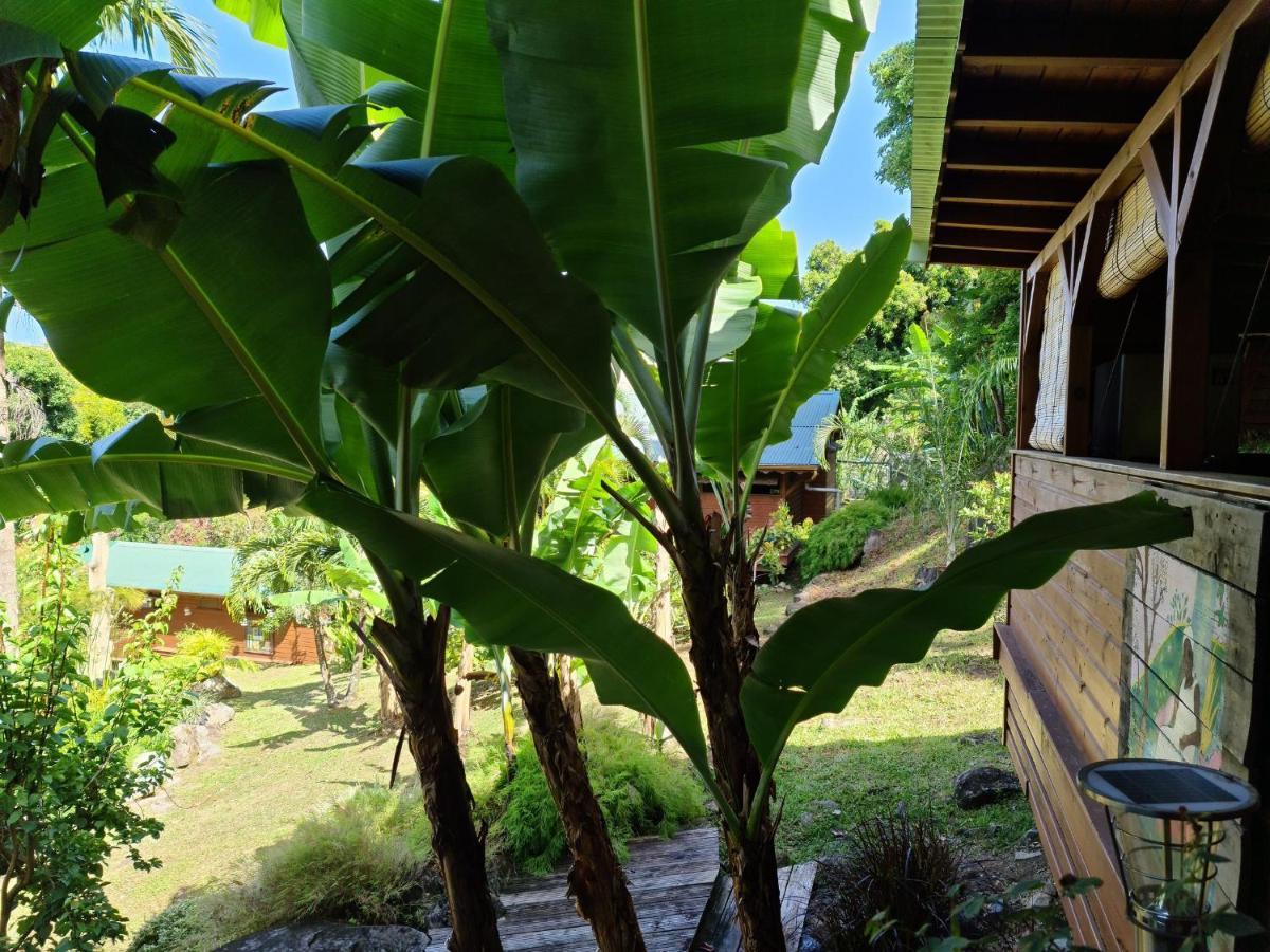 Les Bananes Vertes Ecolodges Saint-Claude Eksteriør bilde