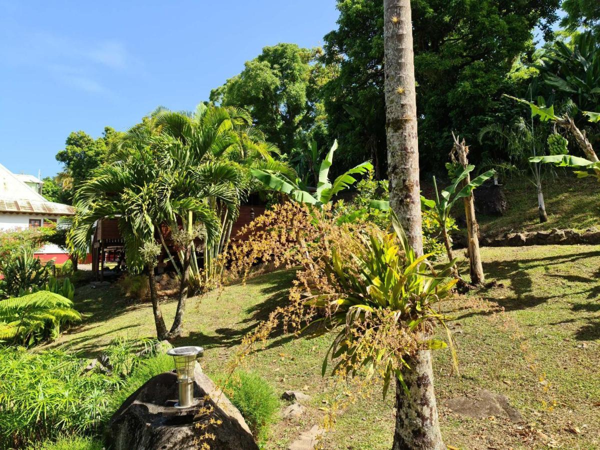 Les Bananes Vertes Ecolodges Saint-Claude Eksteriør bilde