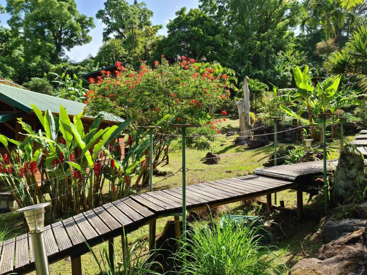 Les Bananes Vertes Ecolodges Saint-Claude Eksteriør bilde