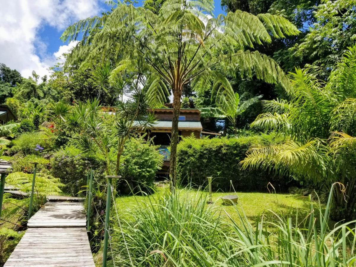 Les Bananes Vertes Ecolodges Saint-Claude Eksteriør bilde
