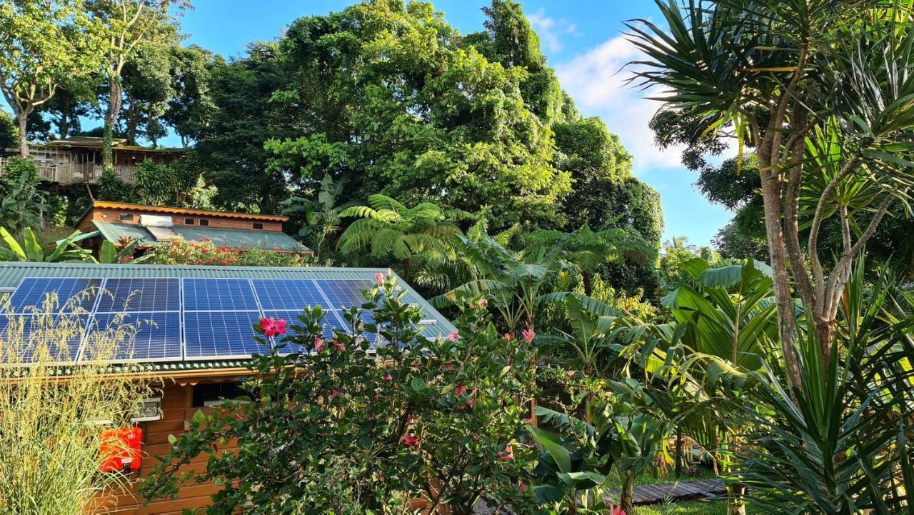 Les Bananes Vertes Ecolodges Saint-Claude Eksteriør bilde